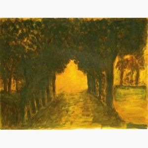 Landscapes devoid of human presence