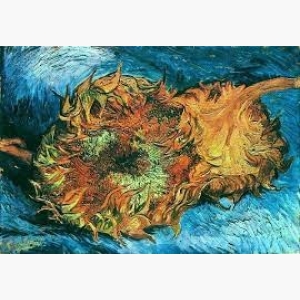 Two Cut Sunflowers