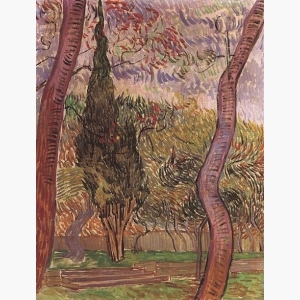 The Garden Of Saint-Paul Hospital