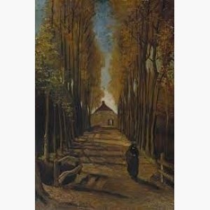 Avenue Of Poplars In Autumn