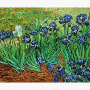 Irises