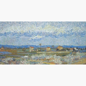 Peach Trees In Blossom