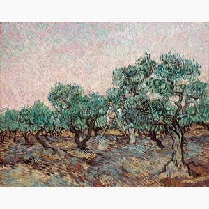 The Olive Trees