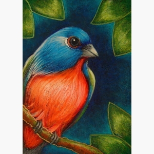 Bird Painting