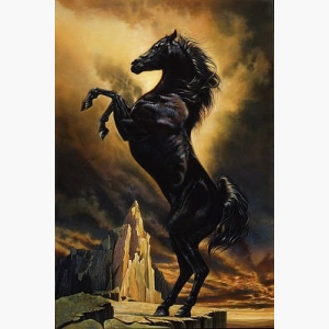 Black Horse Paintings