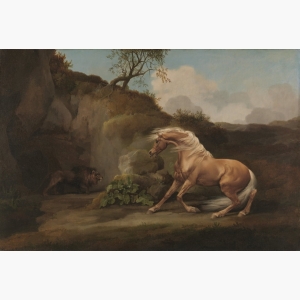 Horse Frightened By A Lion