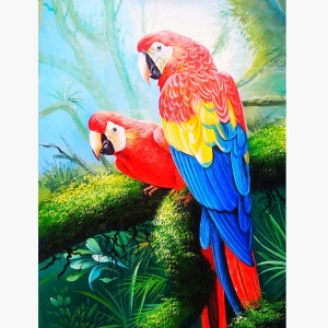 Couple parrot beautiful paintings