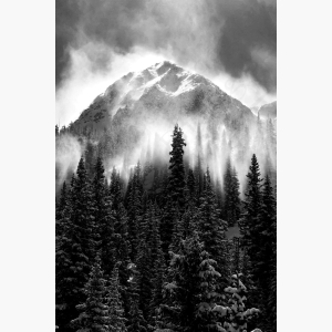 Black and White Painting