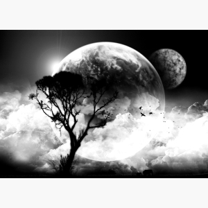 Black and White Painting