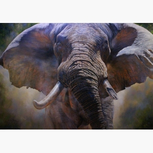 Elephant Art paintings