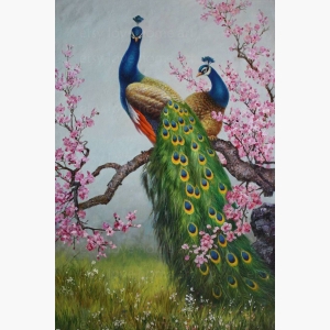 Peacock Painting