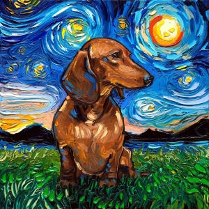 The Starry Night