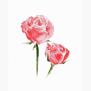 Rose Flower Painting