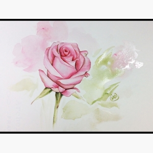 Rose Painting