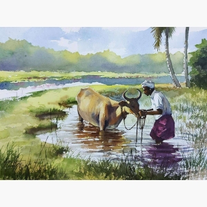 Painting Of Village Woman